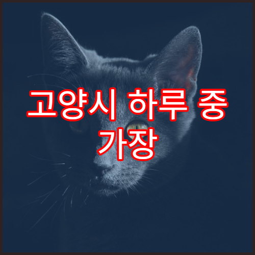 고양시 하루 중 가장 붐비는 시간대 지역