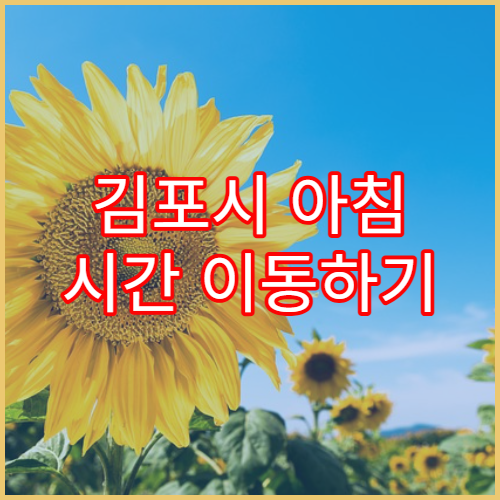 김포시 아침 시간 이동하기 수월한 동네