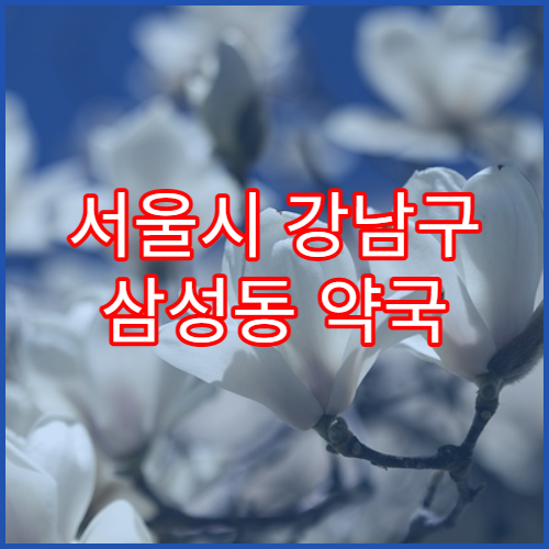 서울시 강남구 삼성동 약국 조제 마감 시간 정리
