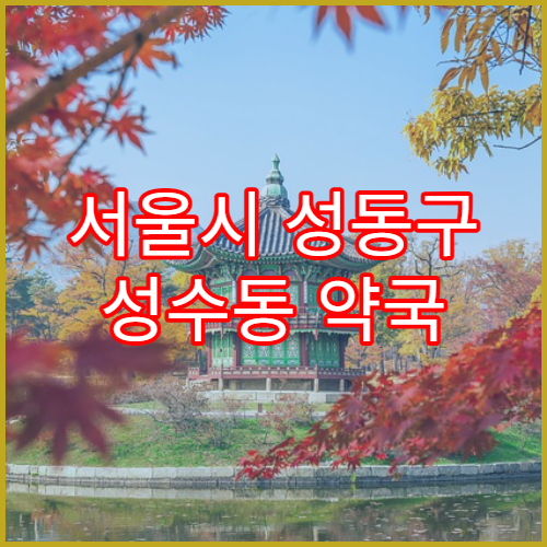서울시 성동구 성수동 약국 동일 성분 약 교체 기준