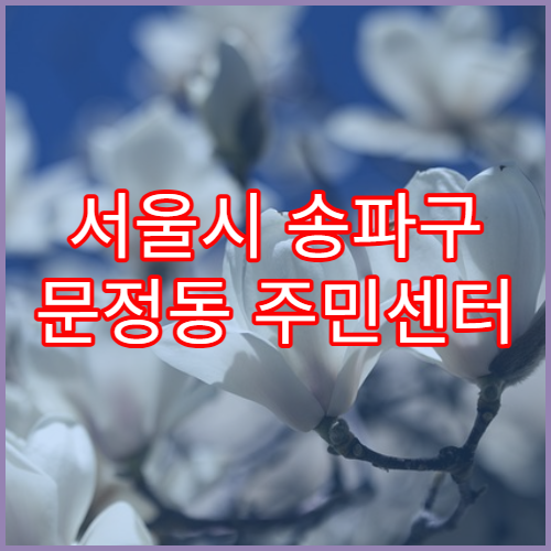 서울시 송파구 문정동 주민센터 인감증명 대리 발급 기준