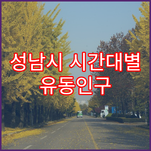 성남시 시간대별 유동인구 많은 지역