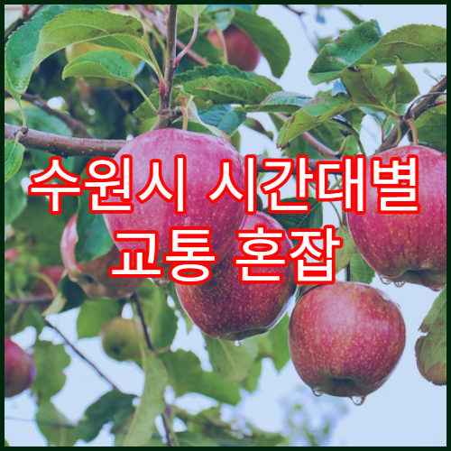 수원시 시간대별 교통 혼잡 지역 한눈 정리