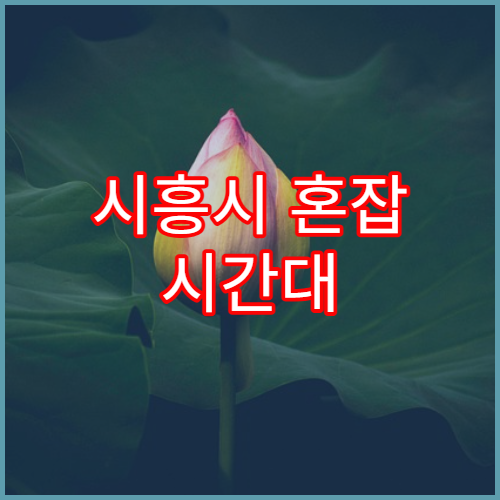 시흥시 혼잡 시간대 반복되는 지역