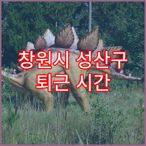 창원시 성산구 퇴근 시간 혼잡한 도로 정리